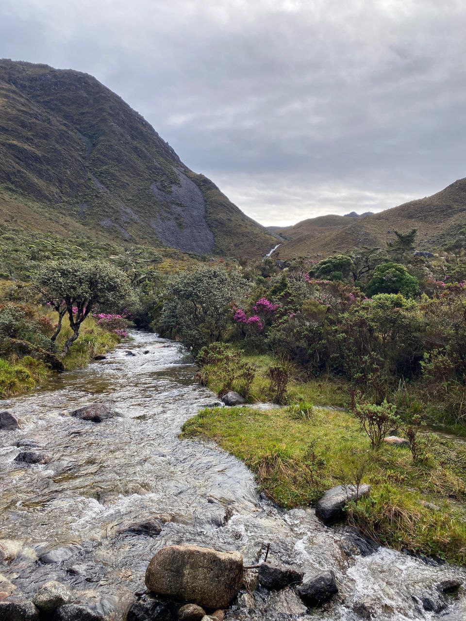 IMG_20250914_181943_956