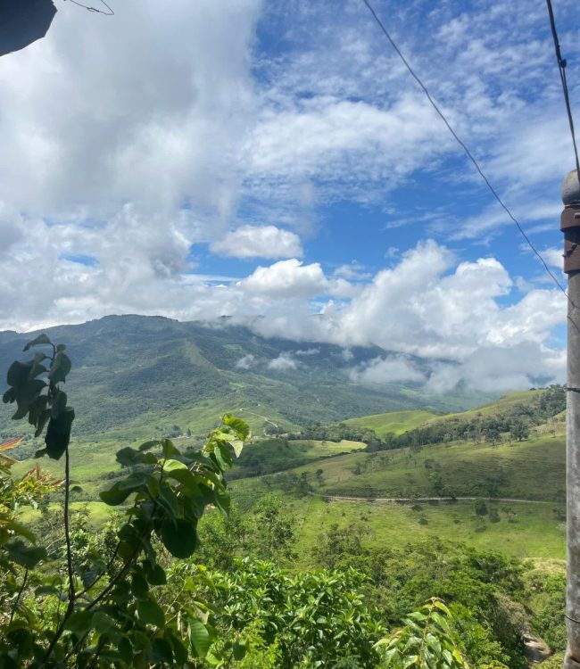 IMG_20250914_181956_724